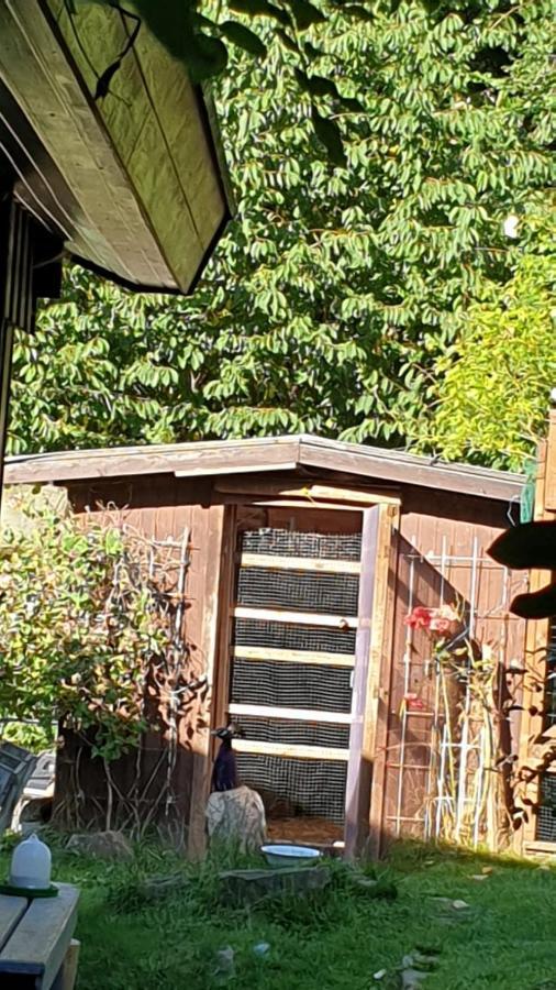 Ferienhaus Nr. 60 Im Ferienpark Am Twistesee Bad Arolsen Esterno foto