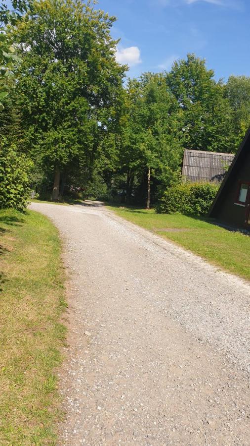 Ferienhaus Nr. 60 Im Ferienpark Am Twistesee Bad Arolsen Esterno foto